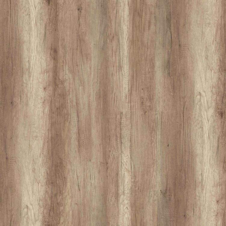 shagus05:��� ������