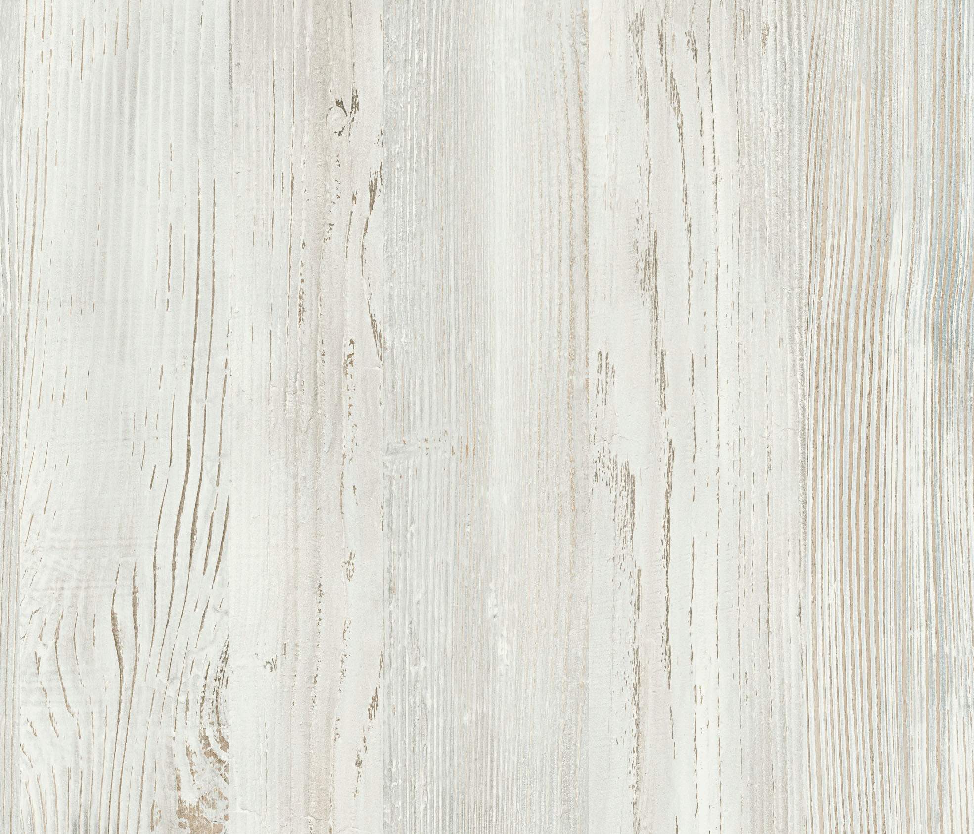 shagus05:����������