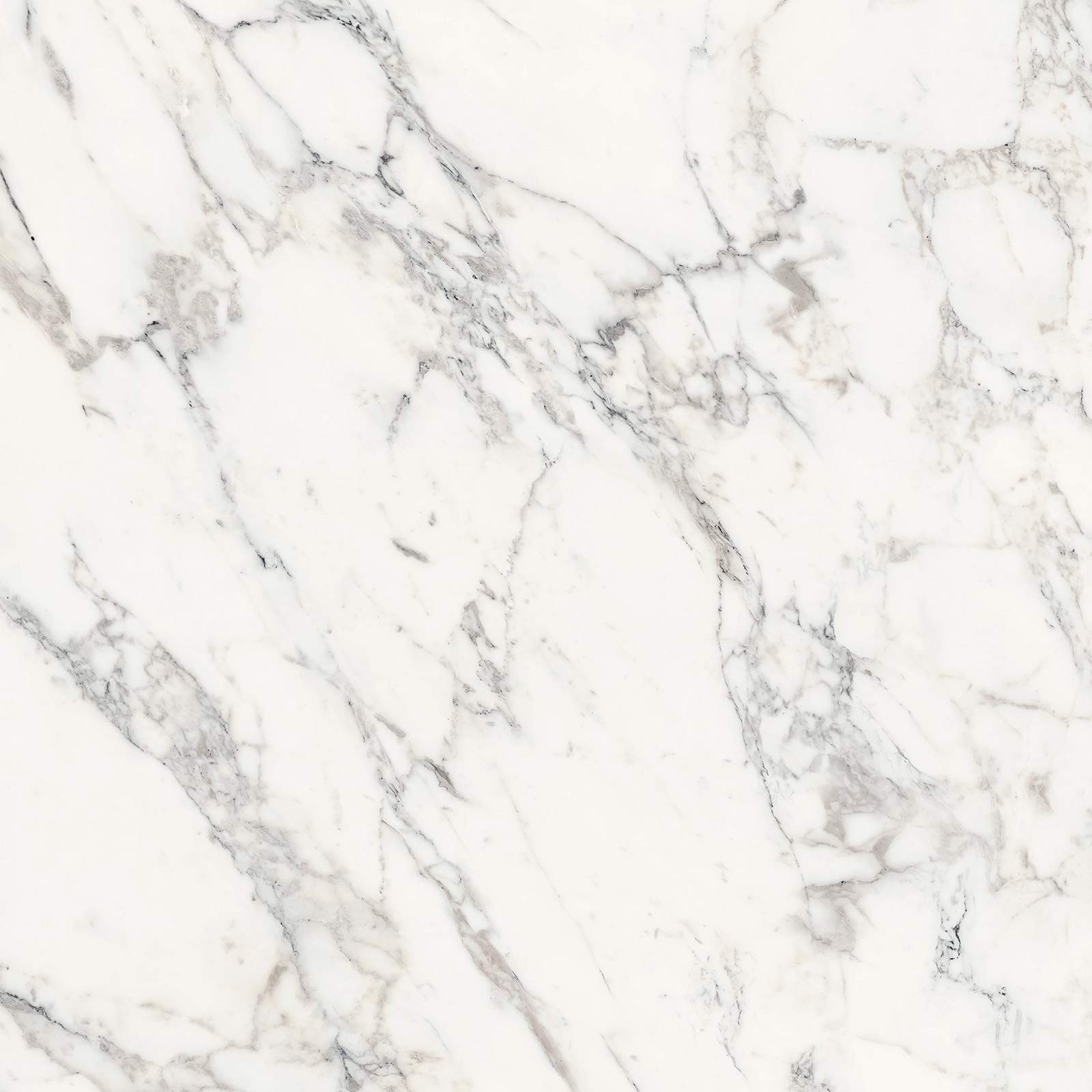 shagus03:�����