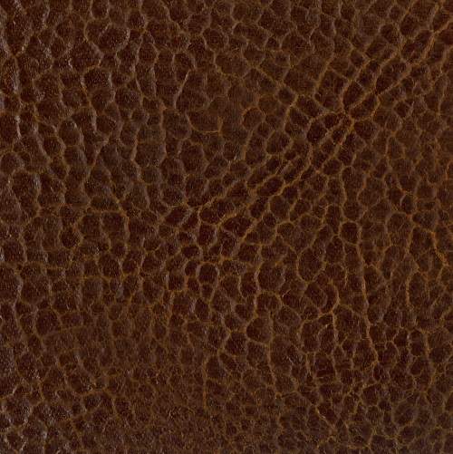 ���-���� ���������� �����