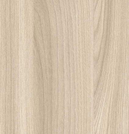 ����� ���� �������