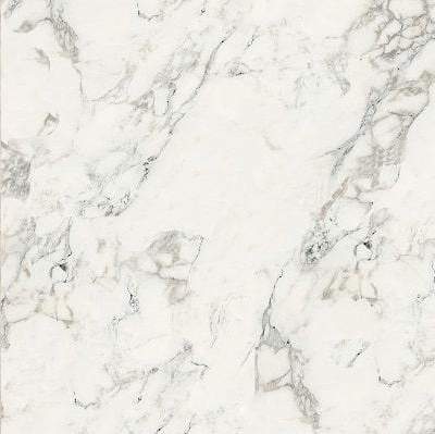 �����/�����